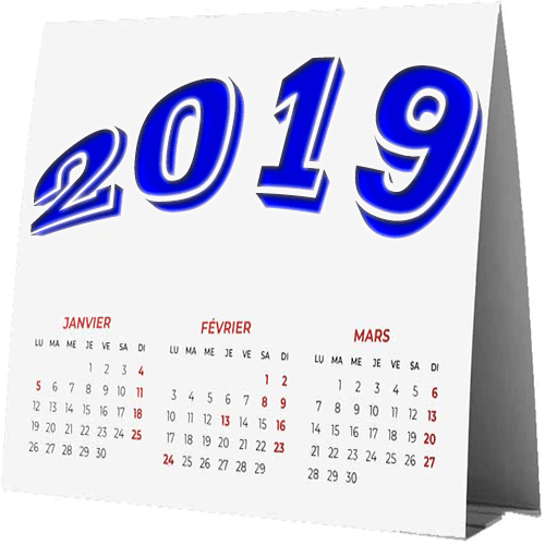2019_B7