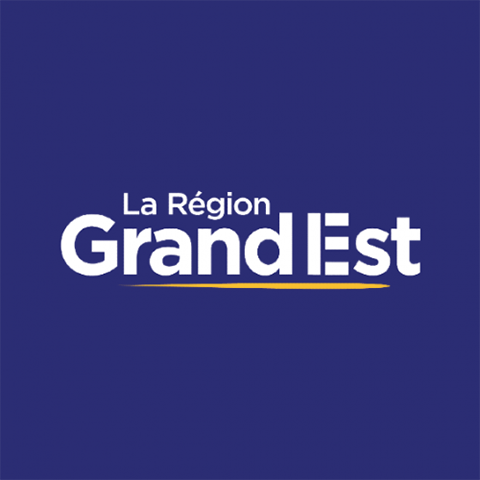 Reg_GEST4